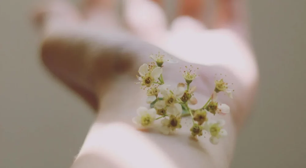 photo-1536618517835-f6eb0c1e710f-2880w